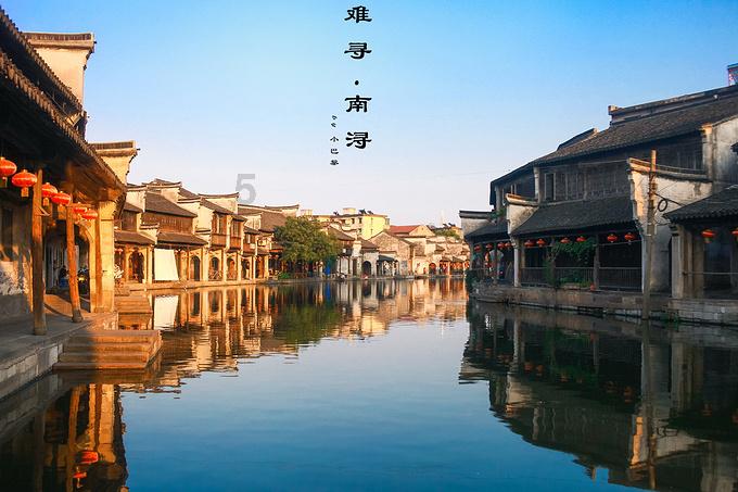 胖小猫救援